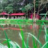 Sakleshpur Camping and Adventure Activities