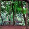 Sakleshpur Camping and Adventure Activities