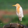 Nature Park Tour