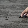 Anjarle Beach Turtle Festival