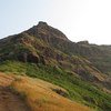 Torna Fort Night Trek from Pune