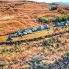 Bhandardara Camping