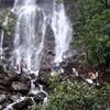 Amboli Waterfall