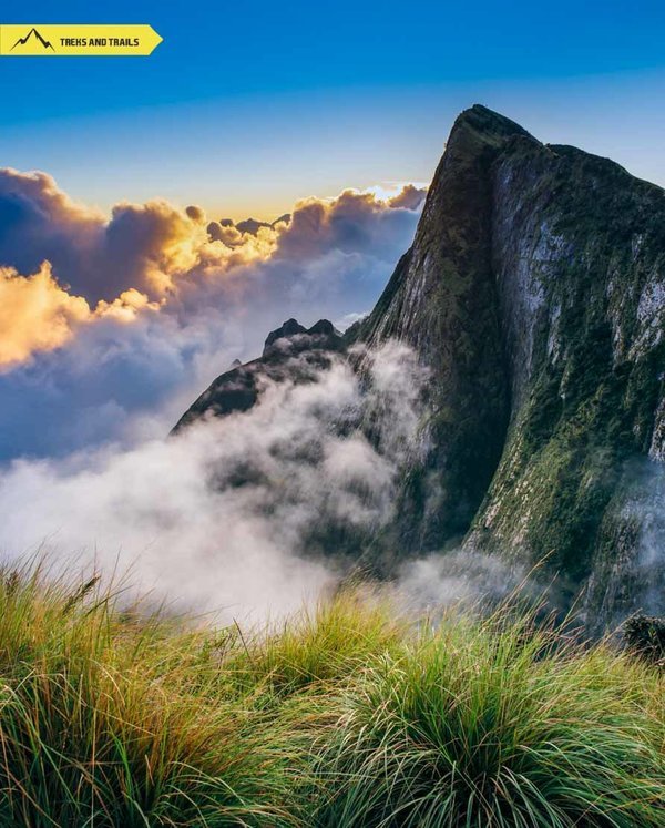 Kolukkumalai Munnar Tour - Tour