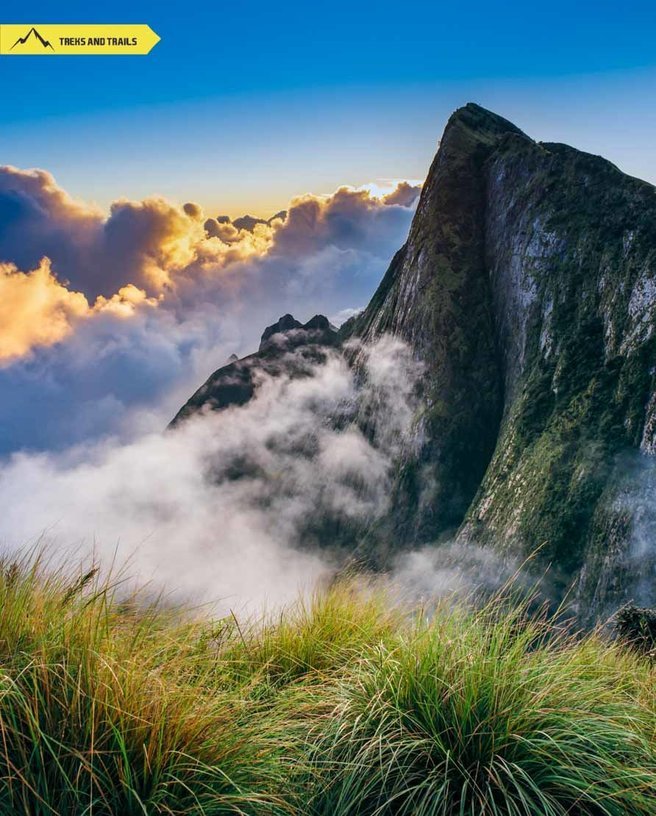 Kolukkumalai Munnar Tour - Tour