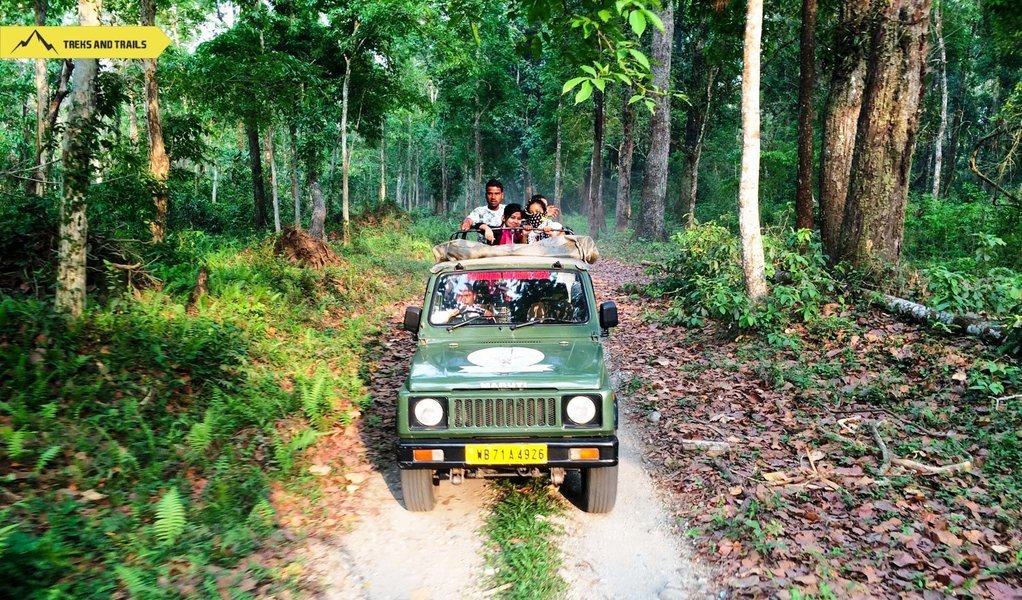 Gorumara National Park - Tour