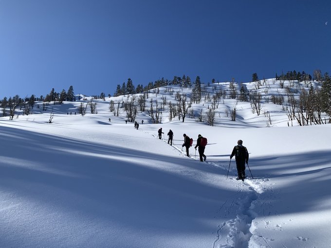 Kedarkantha Trek (4N 5D) - Tour