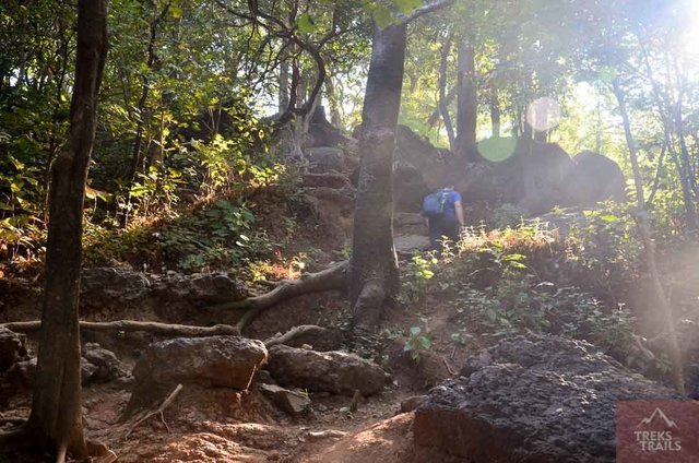 Maharashtra Treks - Collection