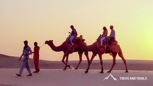 India tour packages November - Collection