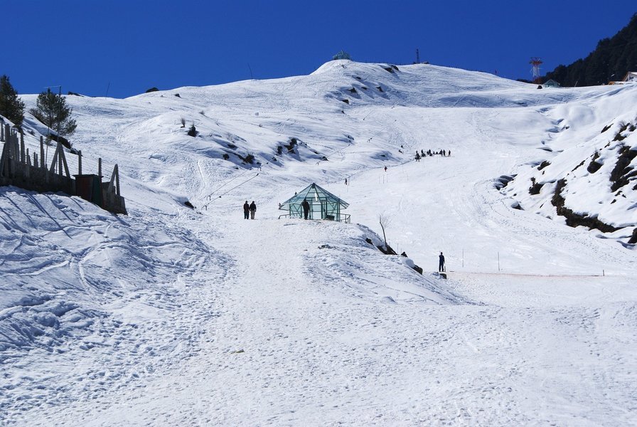 Auli Trip from Delhi - Tour