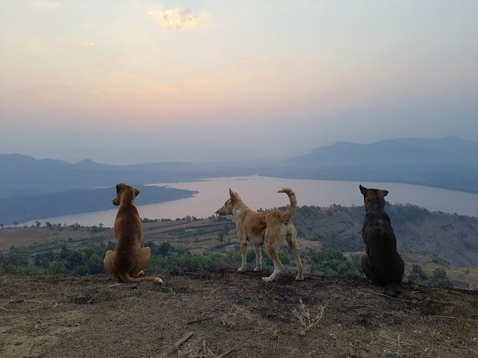 Irshalgad Fort Trek A Crowned Pinnacle | Night Trek - Tour