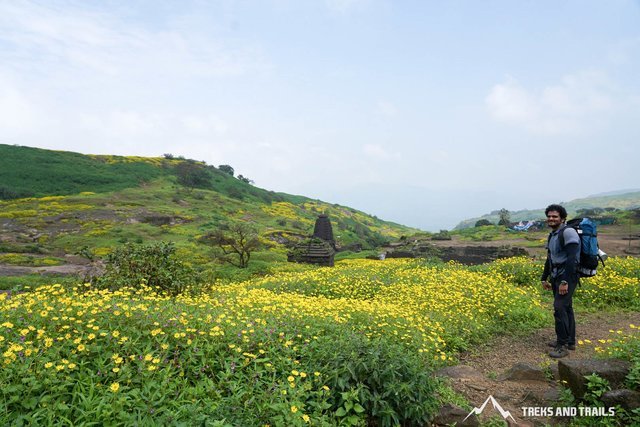 September Treks in Maharashtra - Collection