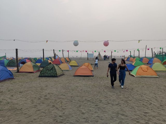 Beach Camping - Collection