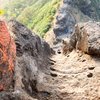 Harihar Fort Night Trek Image