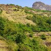 Trek to Harihar Fort