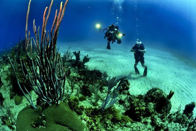 Andaman and Nicobar Island Treks - Collection