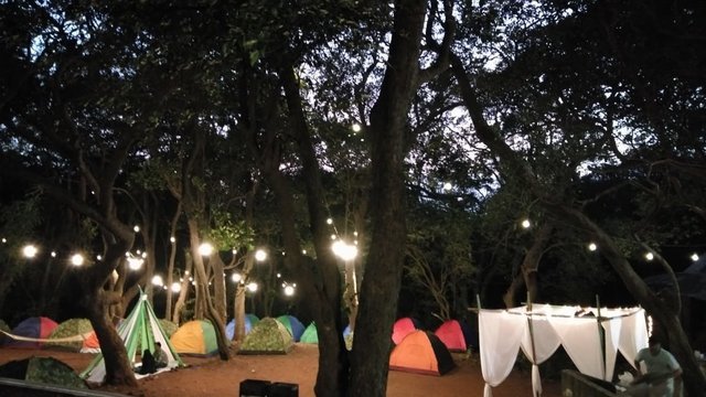 Spend the New Year 2026 under the Stars – Camping in Pune - Collection