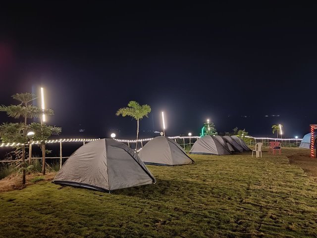 New Year's Celebration at Pawna Lake | Live Music | DJ night - Collection