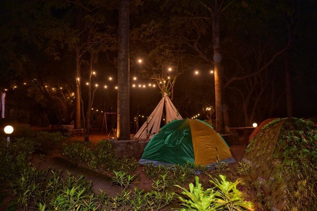 New Year Camping Mumbai | Best Campsites around Mumbai - Collection