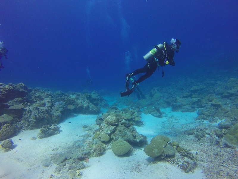 Scuba Diving Baga Beach, Goa - Tour