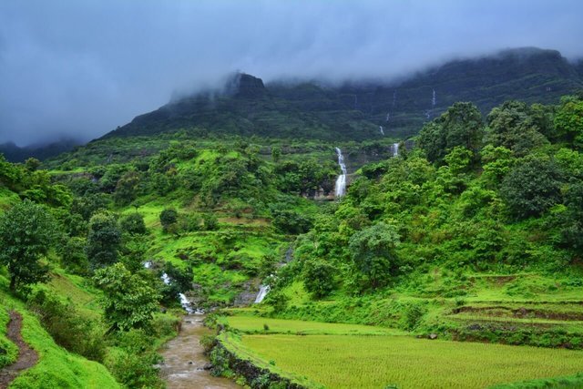 One Day Monsoon Trek Near Mumbai - Collection