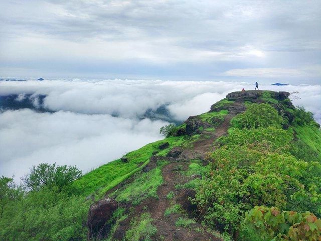 Picnic spots near Mumbai - Collection