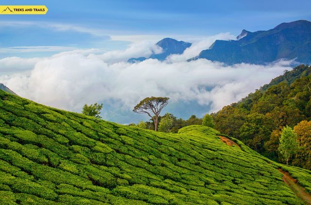 Kerala Treks - Collection