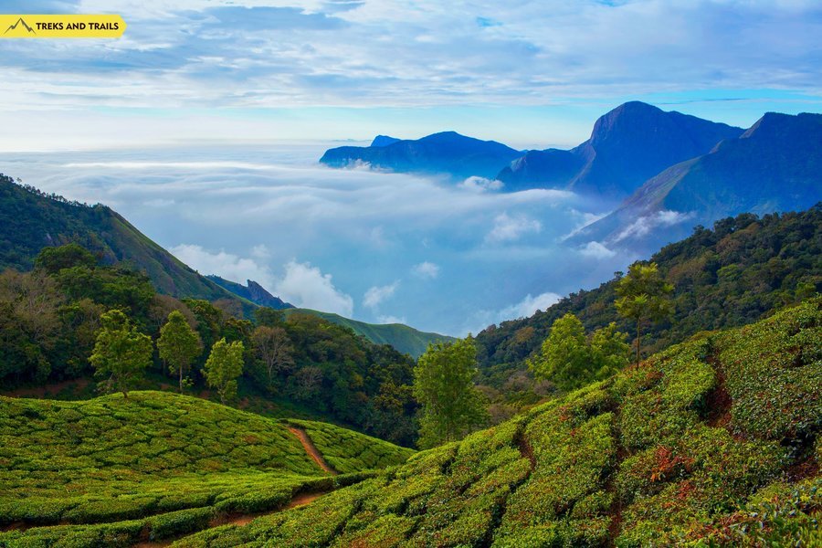 Chembra Peak Trek - Tour
