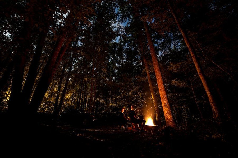 Pulicat Lake Island Camping | Chennai - Tour