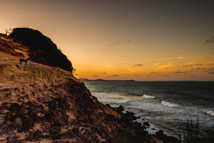 Beach Camping In Sayalkudi | Tamil Nadu - Tour