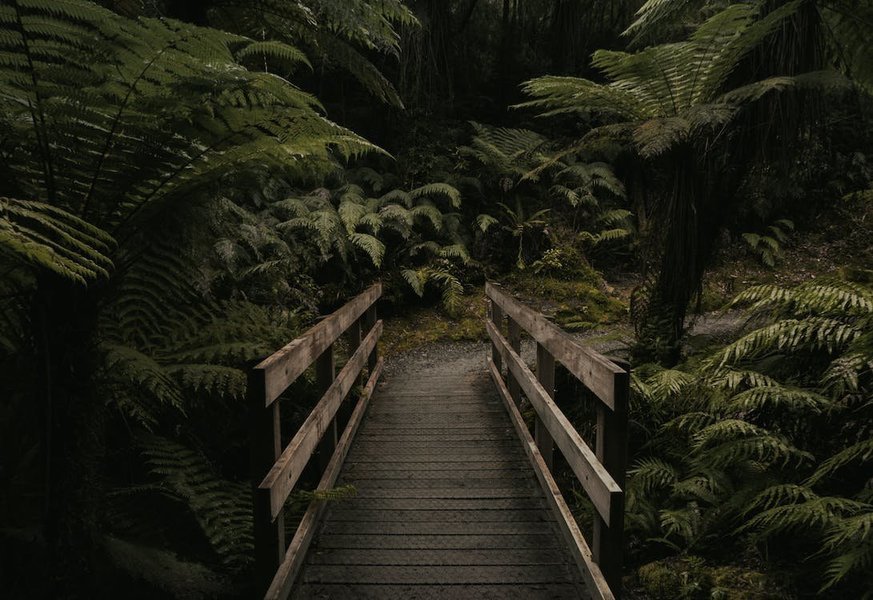 Mawryngkhang Trek in Wakhen | Bamboo Trail Meghalaya - Tour