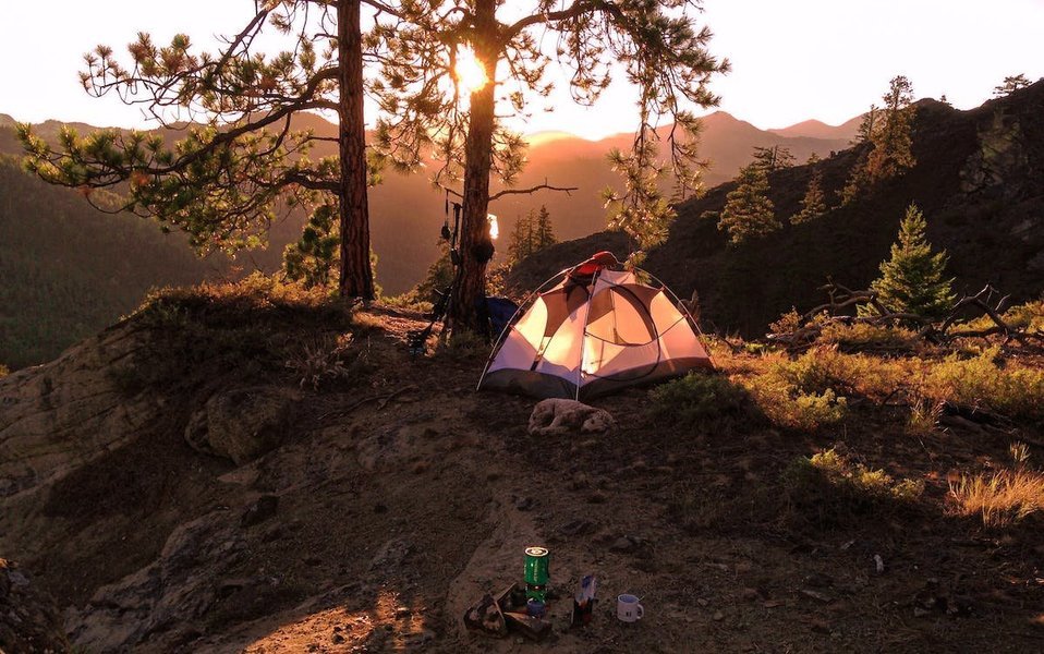 Munnar Jungle Camp - Tour
