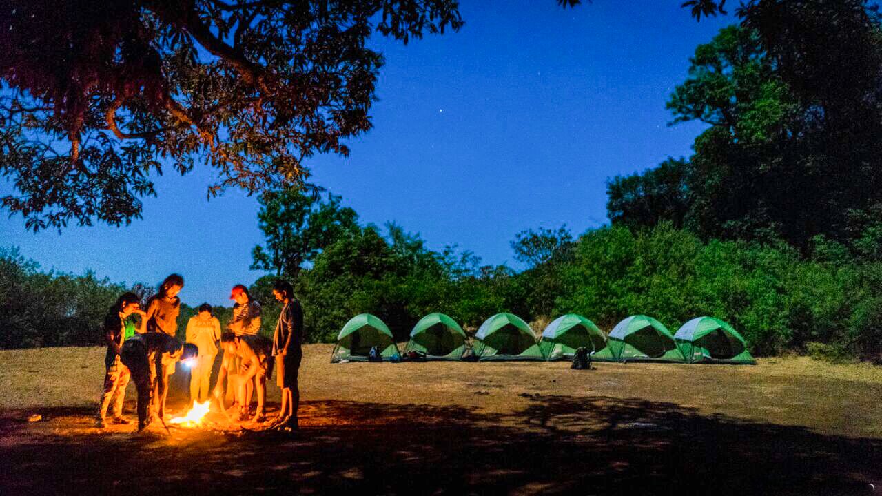 Trek with Camping - Collection