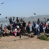 Turtle Festival in Velas