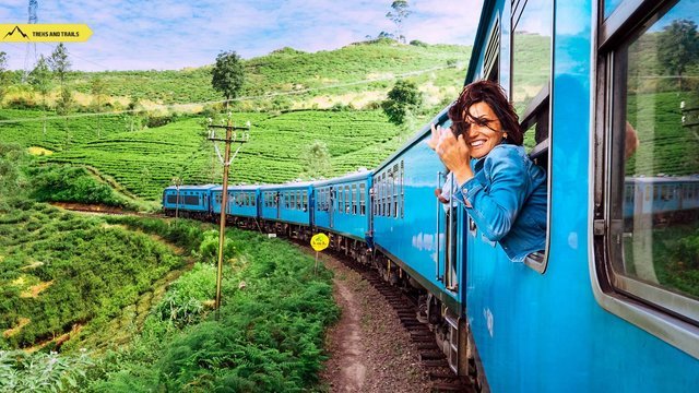 Sri lanka Tour Packages - Collection