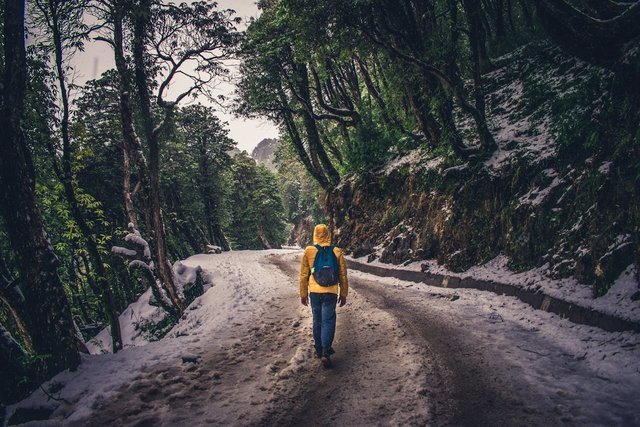 Backpacking Trip India - Collection