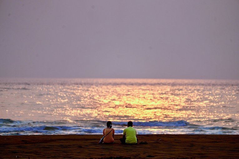 Velas Turtle Festival One Day Trip from Mumbai - Tour