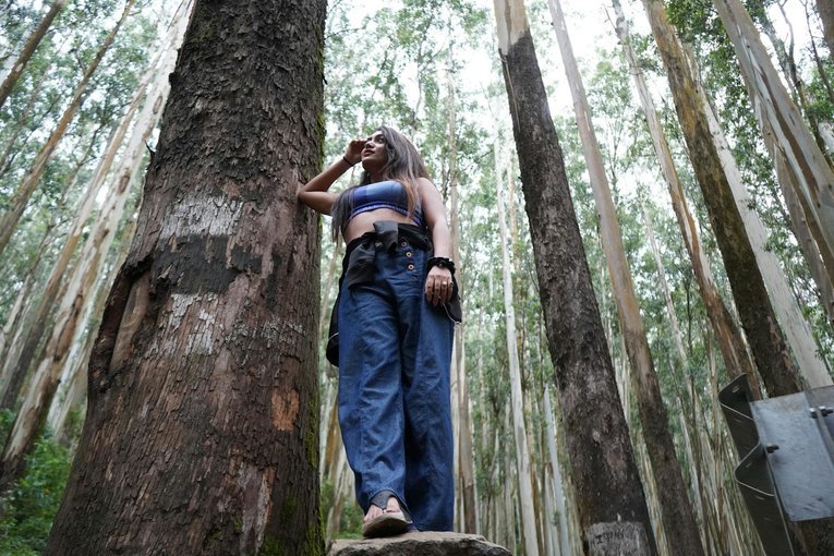 Mysore Ooty Tour Package – 3 Nights 4 Days - Travel Package from Bangalore - Tour